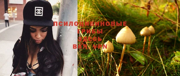 амф Бежецк