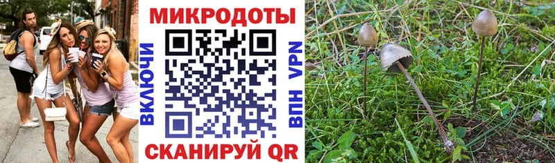 Галлюциногенные грибы MAGIC MUSHROOMS  Череповец 