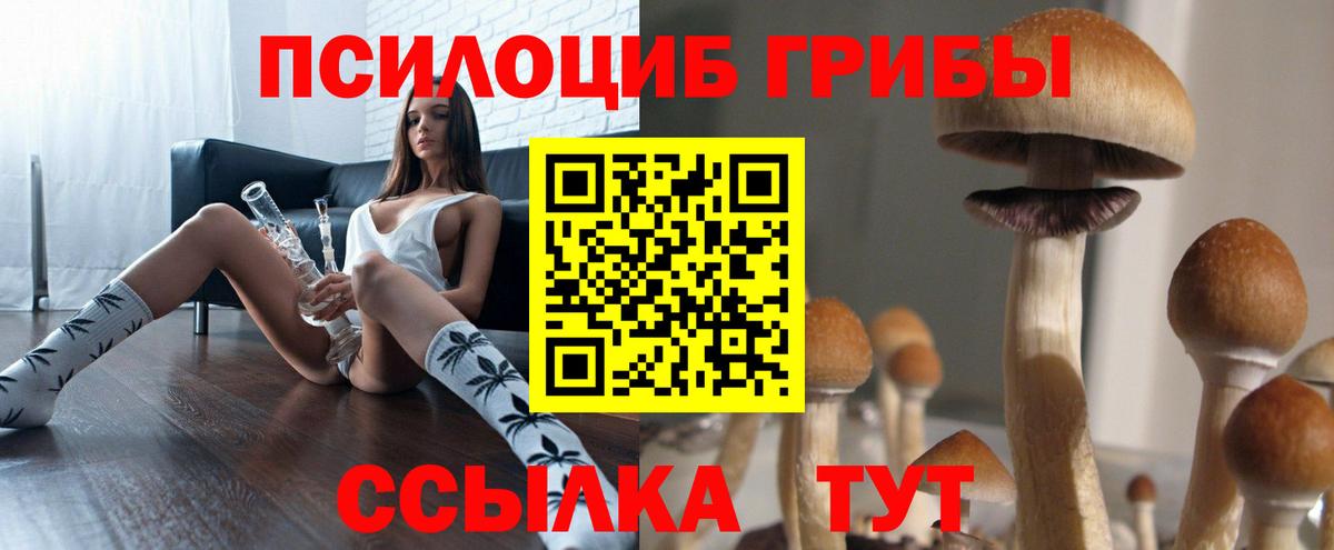 Псилоцибиновые грибы ЛСД  Псилоцибиновые грибы Psilocybe  Вход с VPN  закладки  Череповец 