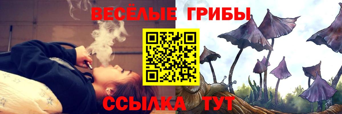 Псилоцибиновые грибы Psilocybine cubensis Череповец